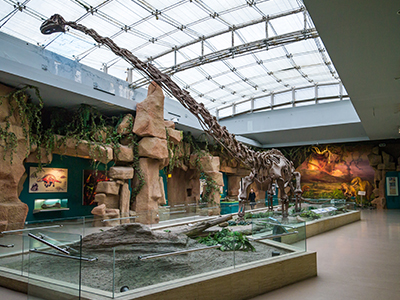 博物館入侵防護解決方案